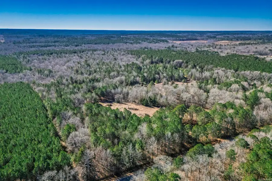 TBD 57 Highway, Stephens, AR 71764 - Image #2