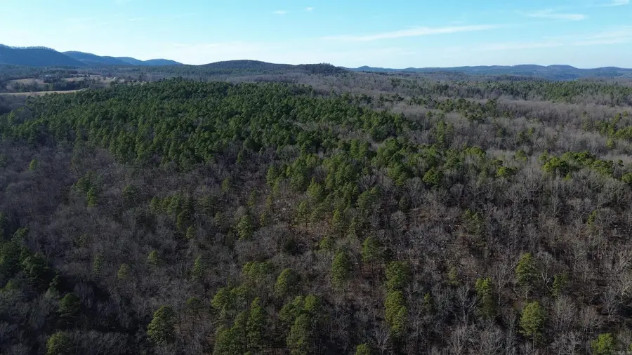 12404 Push Mountain Rd., Calico Rock, AR 72519 - Image #2