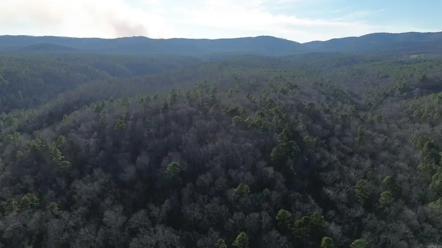 12404 Push Mountain Rd., Calico Rock, AR 72519 - Image #3