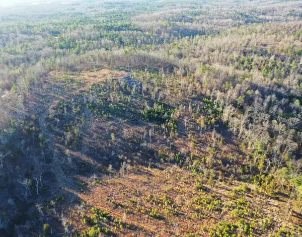 001-08537-000 Mcgenes Creek Road Road, Bexar, AR 72515