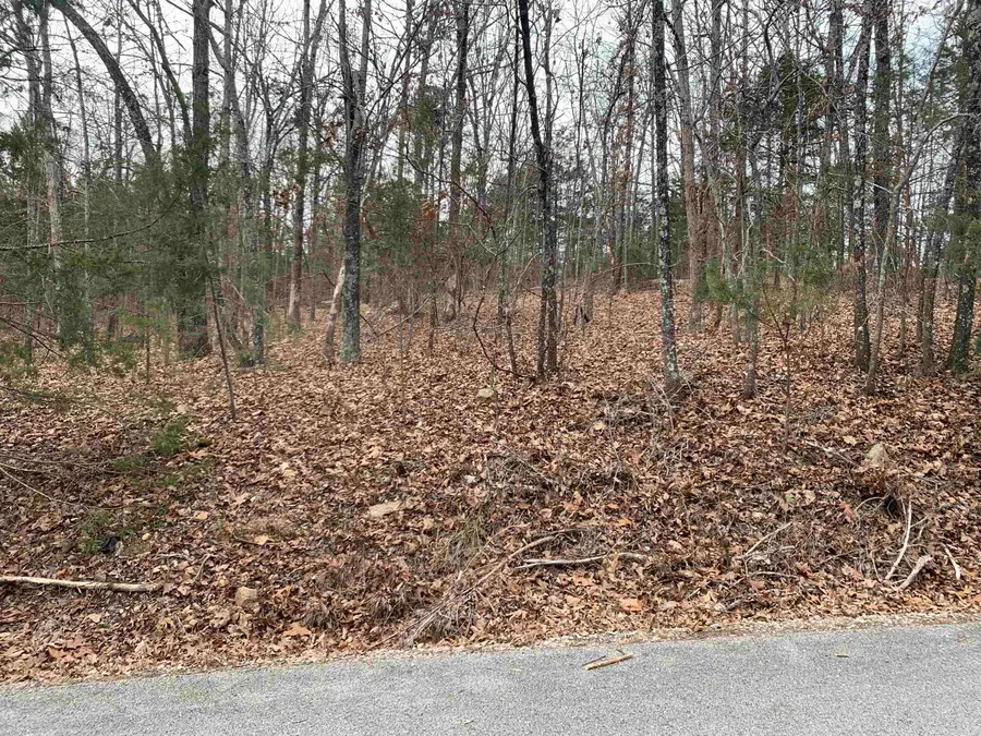 010-05456-000 Mccain Drive, Mountain Home, AR 72653 - Image #3