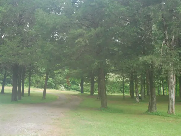 Address Withheld By Seller, Damascus, AR 72039