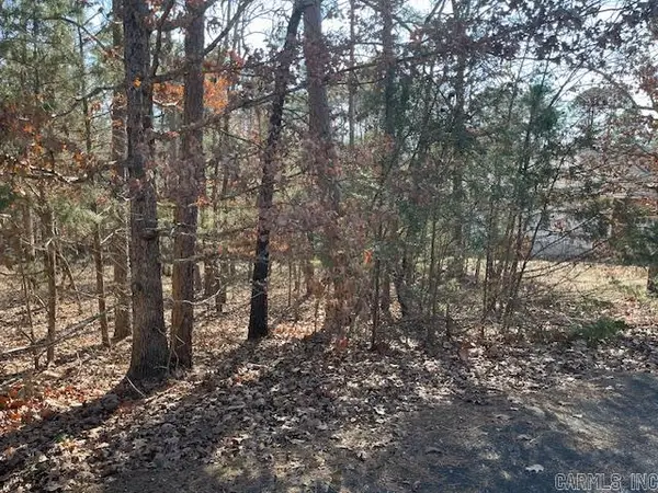 5 Resplandor Court, Hot Springs Village, AR 71909