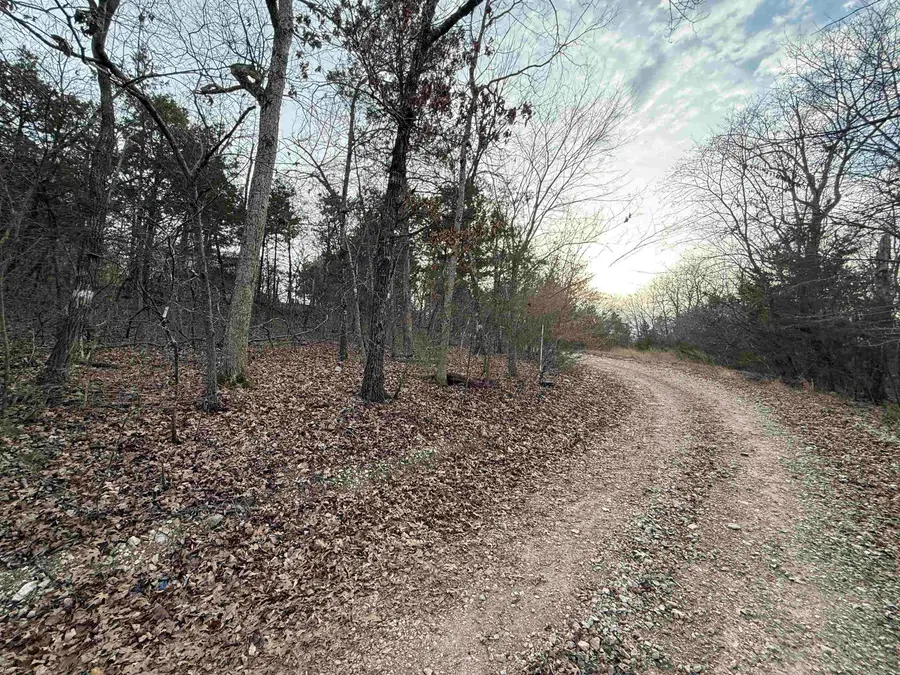 001 Mallard Drive, Diamond City, AR 72630 - Image #2