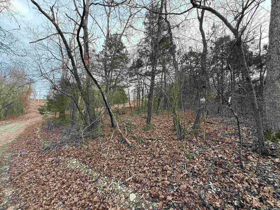 001 Mallard Drive, Diamond City, AR 72630 - Image #3