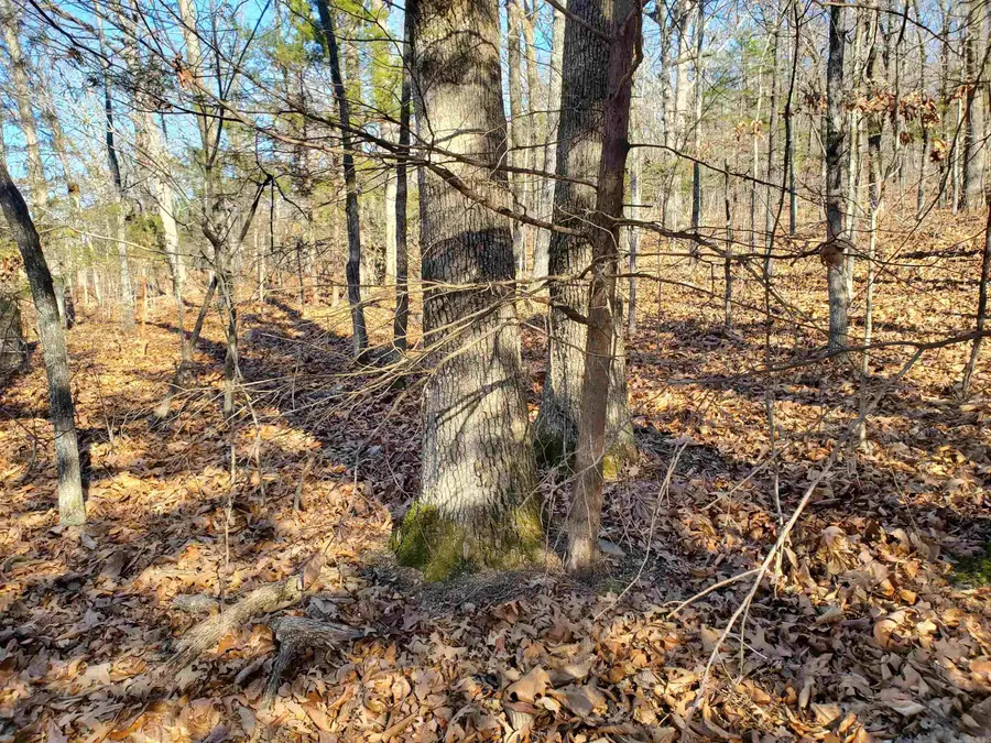 15776 Hwy 74 E Tract #1, Marshall, AR 72650 - Image #2