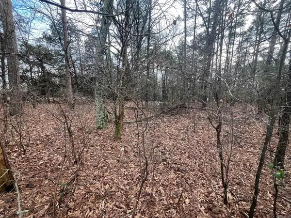 Address Withheld By Seller, Damascus, AR 72039