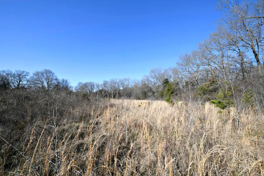 TBD Old Boles Road, Parks, AR 72950 - Image #2