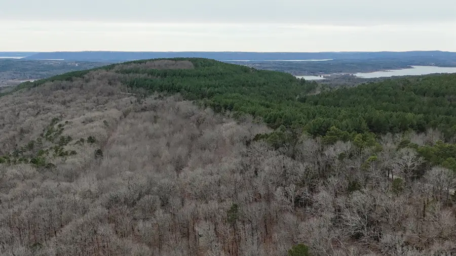 Address Withheld By Seller, Edgemont, AR 72044 - Image #3