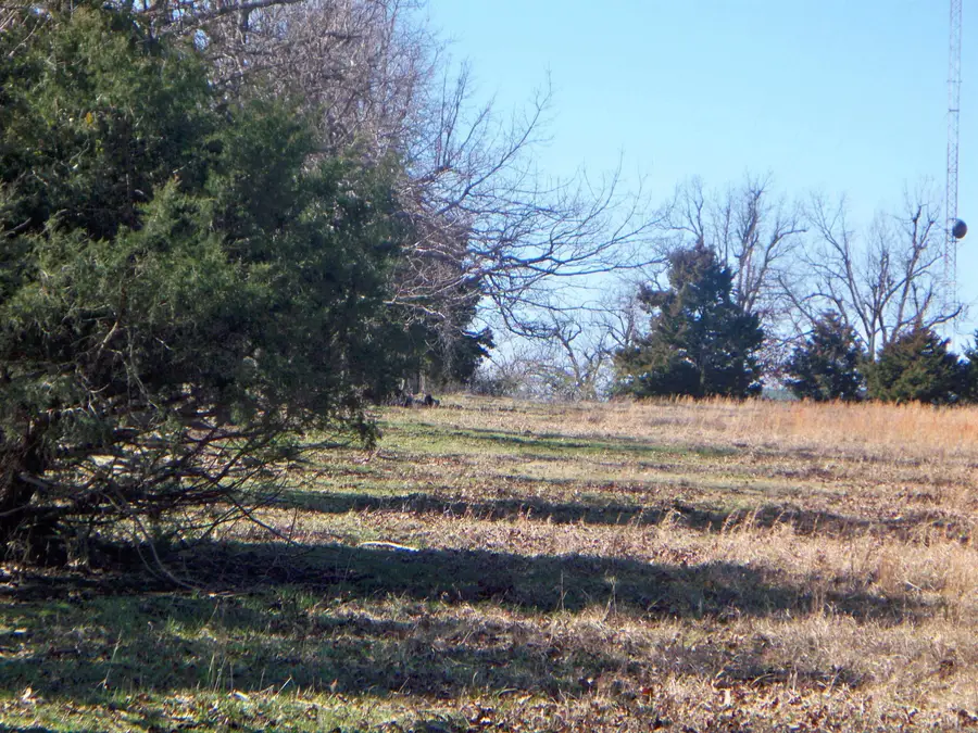 00 Jackson 311, Bradford, AR 72020 - Image #2