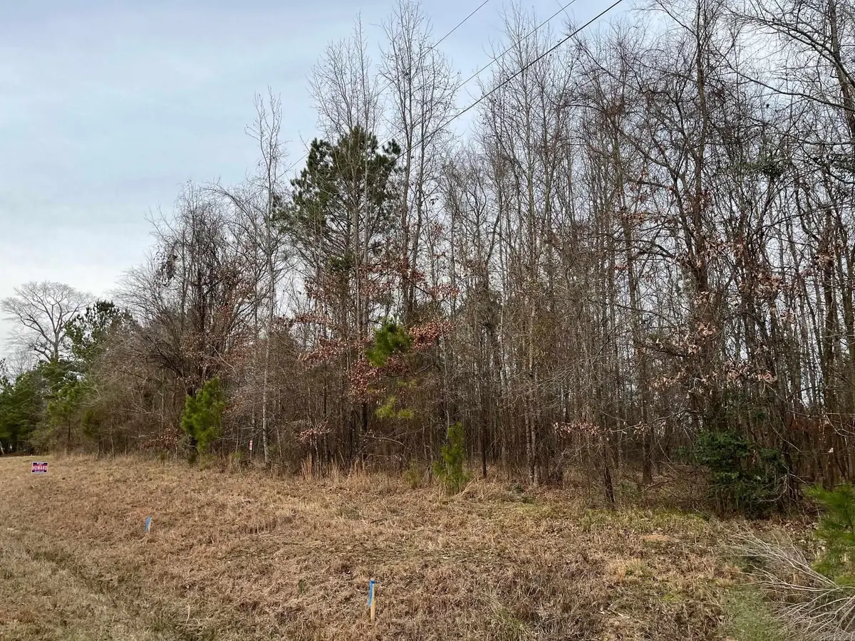 0 N Brice Horton Road, Delight, AR 71940 - Image #1