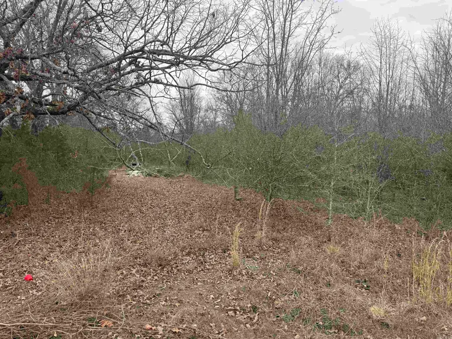 000 Black Road, Conway, AR 72032 - #3