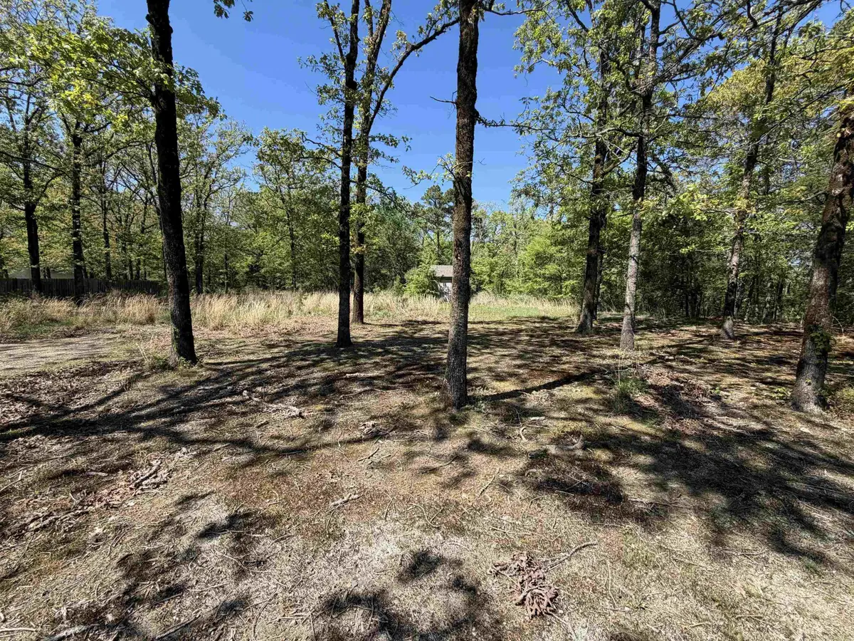 74 Happy Valley Drive, Conway, AR 72034 - #1
