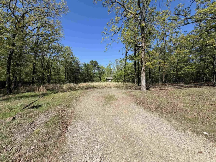 74 Happy Valley Drive, Conway, AR 72034 - #2