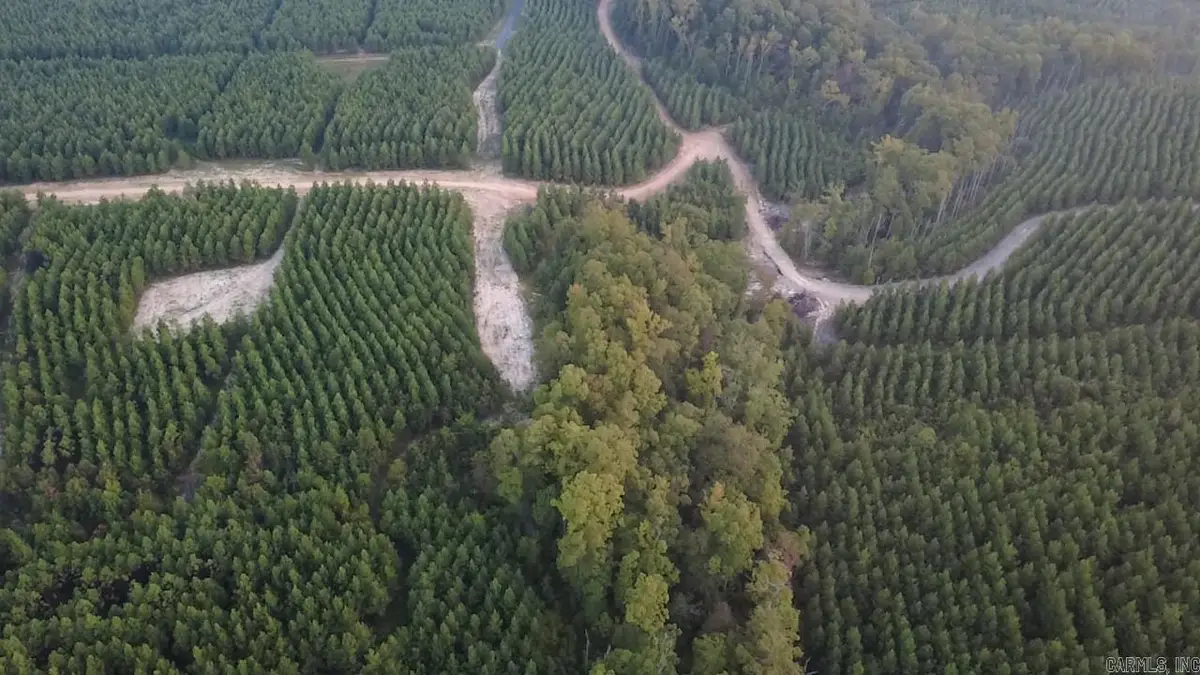 Tract 2C Avalon Lake Lane, Mena, AR 71953 - Image #1