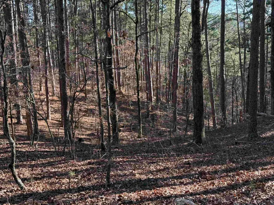 48 La Palabra Way, Hot Springs Village, AR 71909 - #2