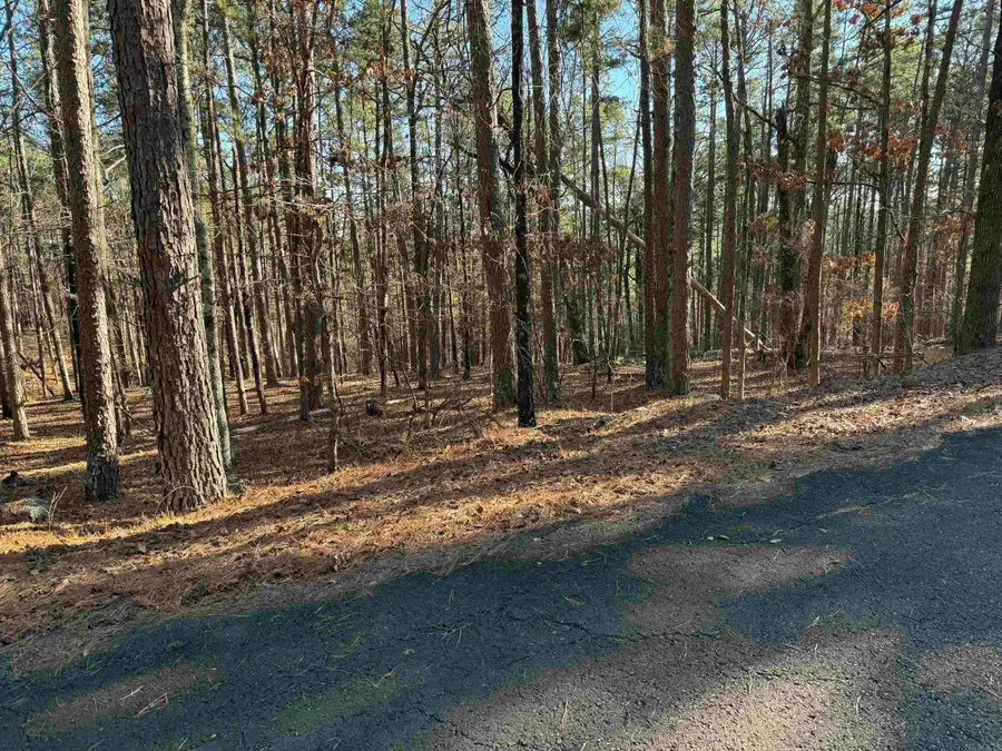 48 La Palabra Way, Hot Springs Village, AR 71909 - #3