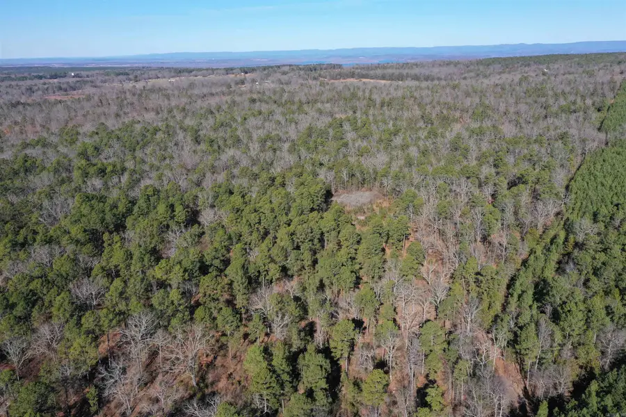 0000 Hwy 22, Delaware, AR 72835 - Image #2