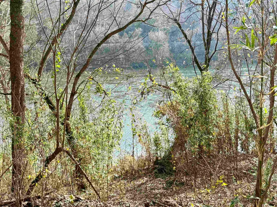 421 Allure Lane, Mountain View, AR 72560 - Image #2