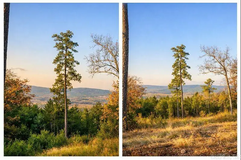 Address Withheld By Seller, Roland, AR 72135 - Image #1