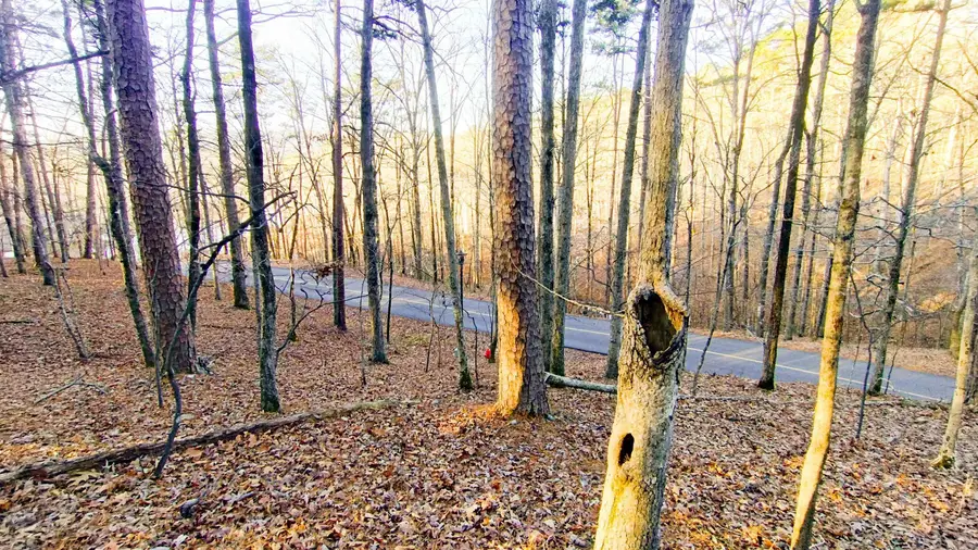 0 Empinado Way, Hot Springs Village, AR 71909 - #2