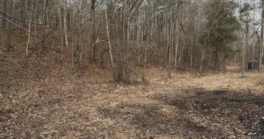 000 Tournament Dr., Mountain View, AR 72560 - #3