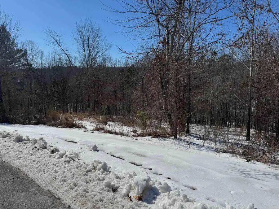 000 Birdie Ln. Lot 13, Mountain View, AR 72560 - Image #2