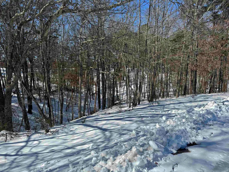 000 Tournament Dr. Lot 24, Mountain View, AR 72560 - Image #3