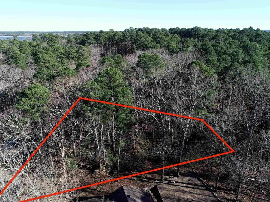 46 Zarpa Way, Hot Springs Village, AR 71909 - #3