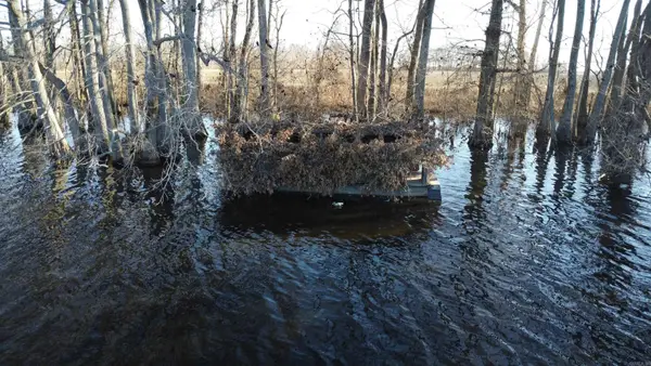 00 Sfc 431, Widener, AR 72394