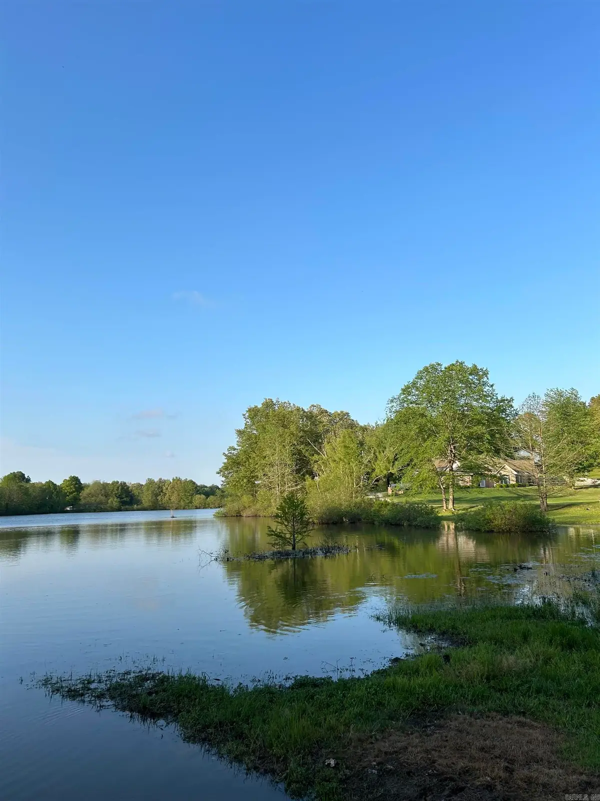 Clay Street, Piggott, AR 72454 - #1