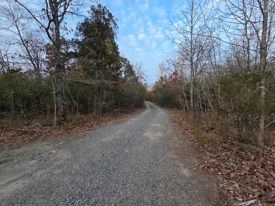 90 Sherrill King Drive, Quitman, AR 72131 - #2