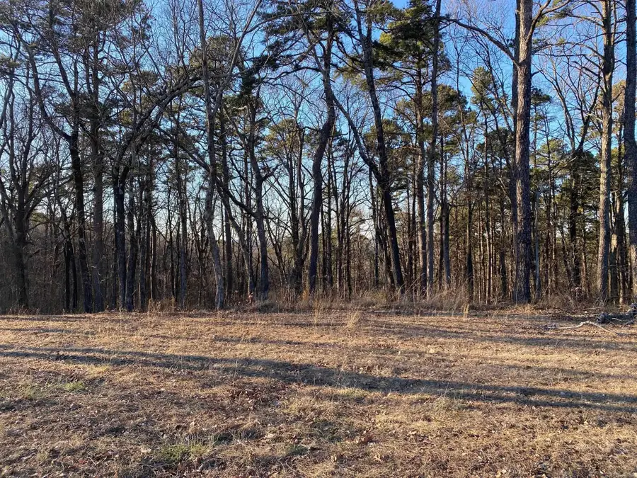 000 Dug Hill Road, Drasco, AR 72530 - #2