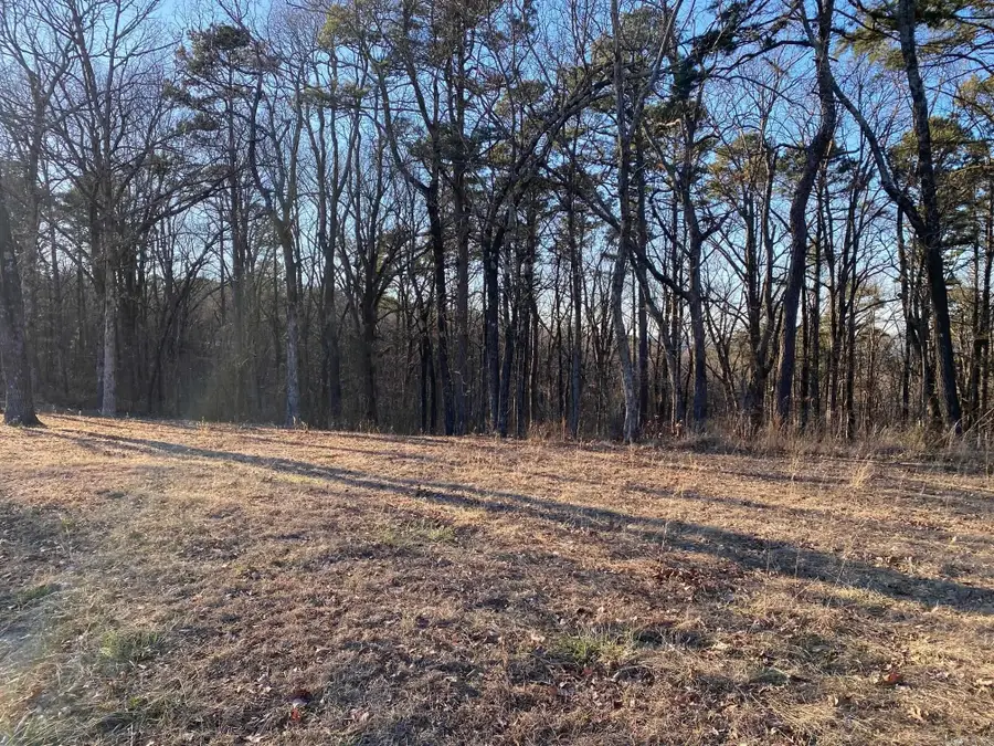 000 Dug Hill Road, Drasco, AR 72530 - #3