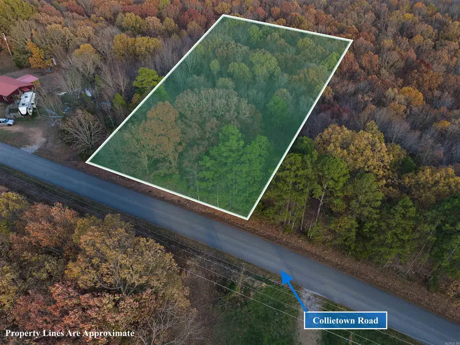 713 Collietown Road, Batesville, AR 72501 - #2