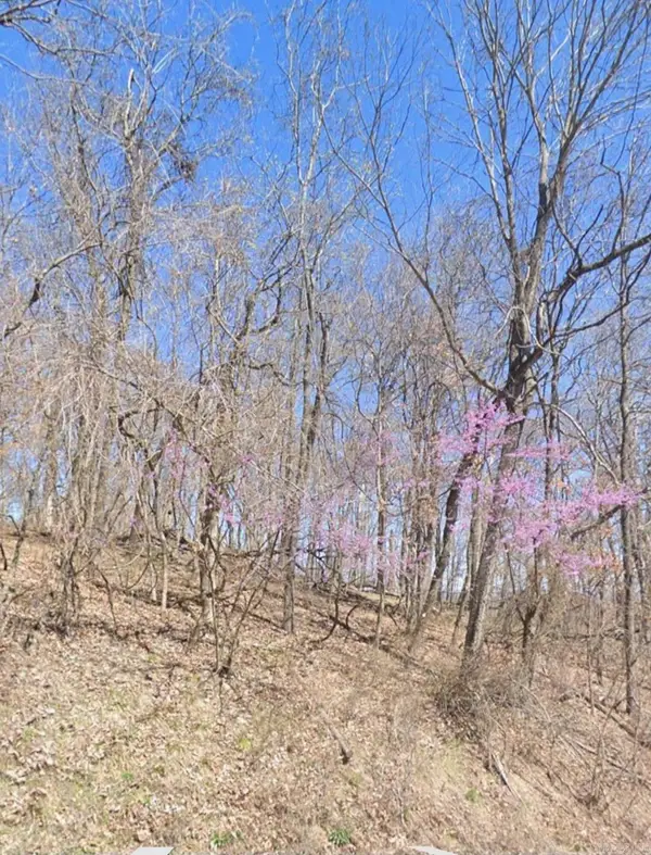 5.16 Acres Summit Drive, Holiday Island, AR 72631