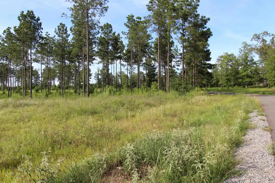 lot 27 Grant County Road 763, Sheridan, AR 72150 - Image #2