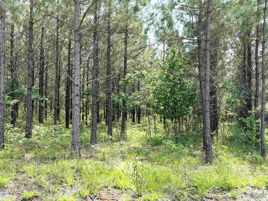 lot 27 Grant County Road 763, Sheridan, AR 72150 - Image #3