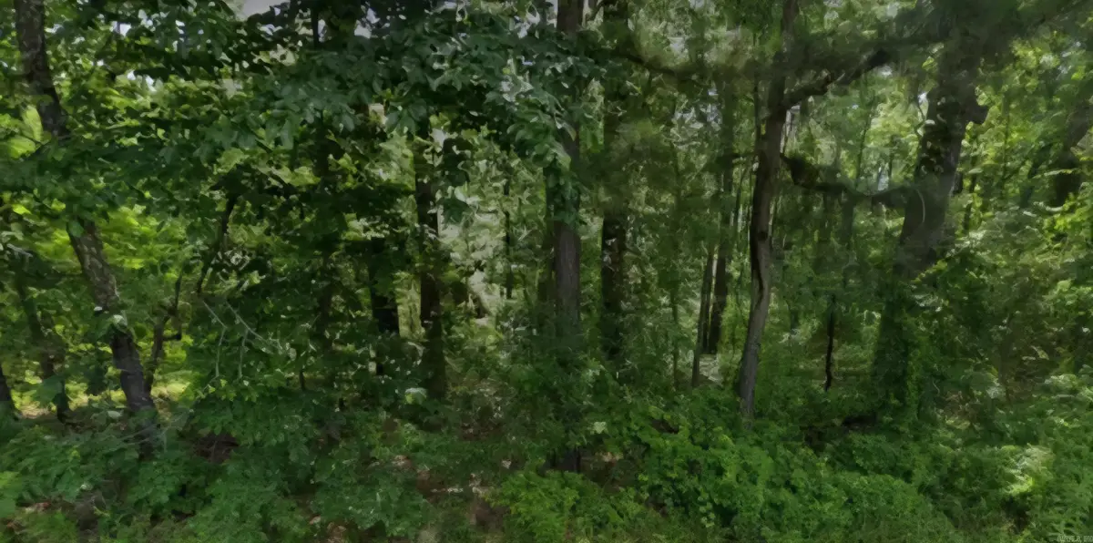 Lot 009 N Norman Street, Pine Bluff, AR 71602 - #1