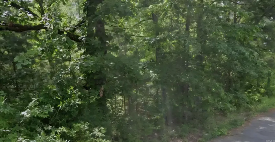 Lot 009 N Norman Street, Pine Bluff, AR 71602 - #2