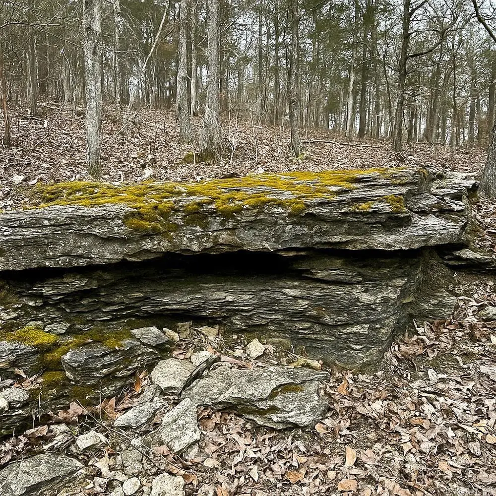 Address Withheld By Seller, Ash Flat, AR 72513 - #1