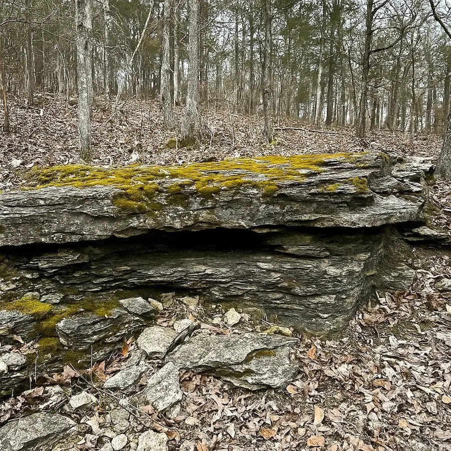 Address Withheld By Seller, Ash Flat, AR 72513 - #3