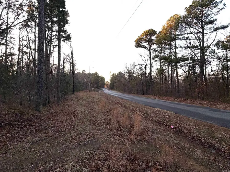 245 Devils Fork Ranch Road, Drasco, AR 72530 - #2