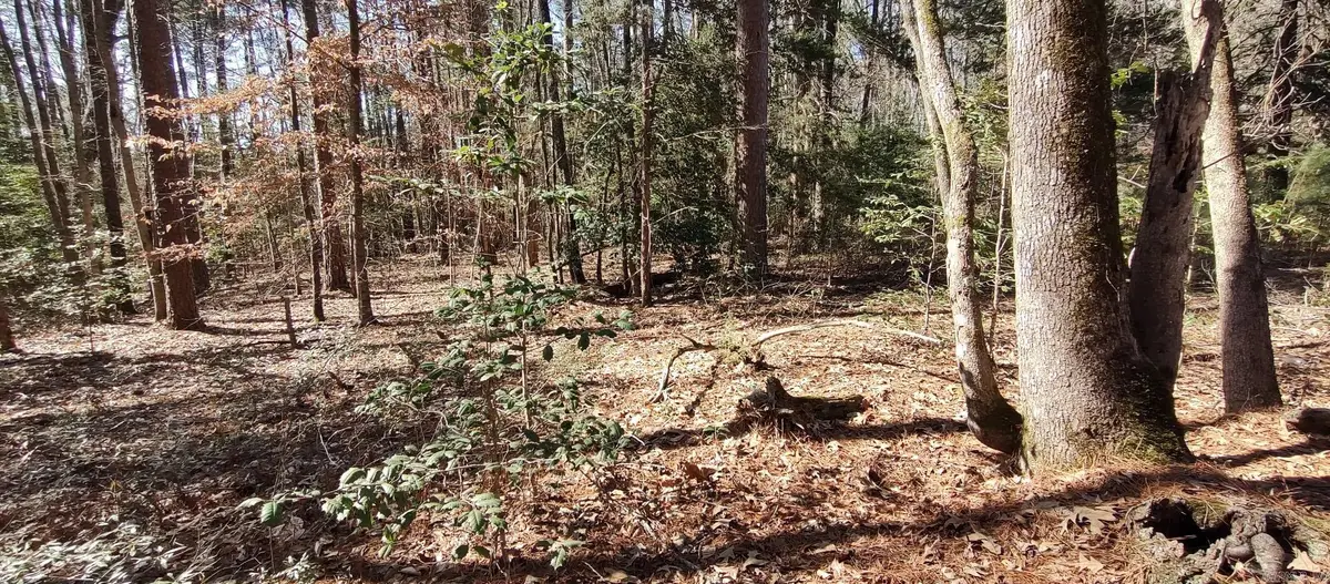 5099 Hwy 278, Chidester, AR 71726 - Image #1