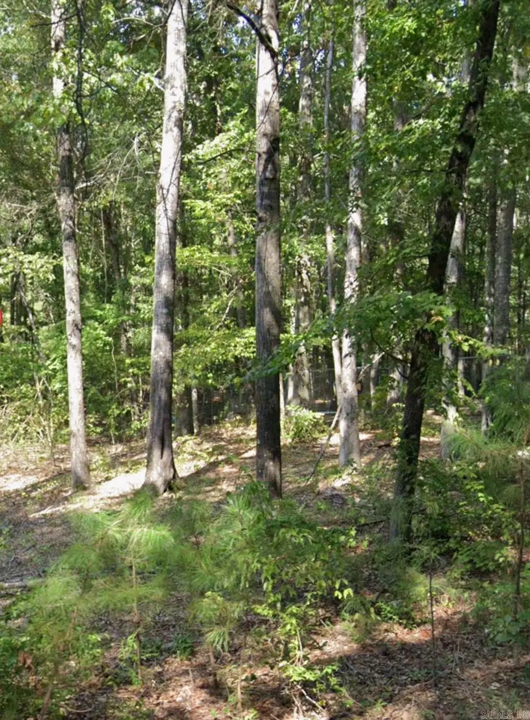 Lot 011 W Jones Avenue, Pine Bluff, AR 71602 - #1