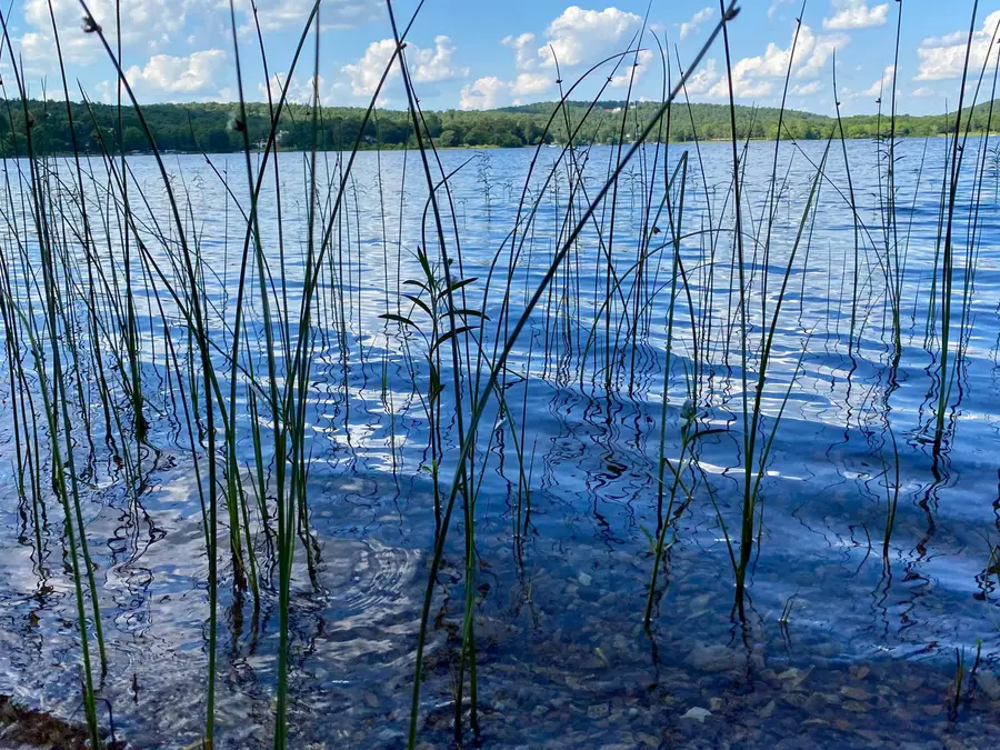 1106 South Shore Drive, Horseshoe Bend, AR 72512 - Image #3