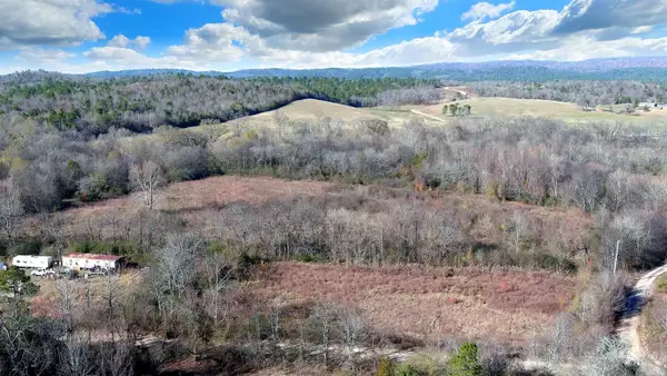 118 Peaceful Place Road, Caddo Gap, AR 71935