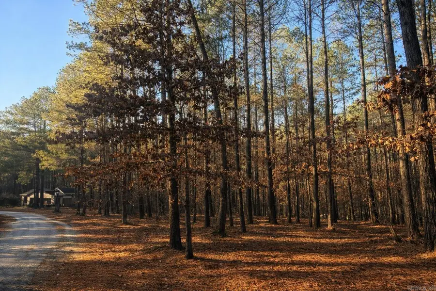 18 Alzar Lane, Hot Springs Village, AR 71909 - Image #2