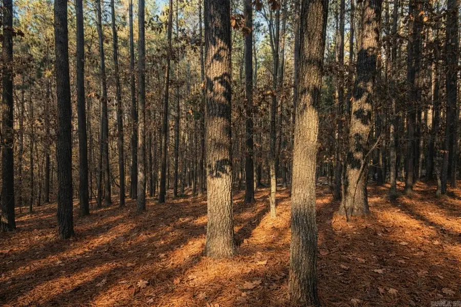 18 Alzar Lane, Hot Springs Village, AR 71909 - Image #3