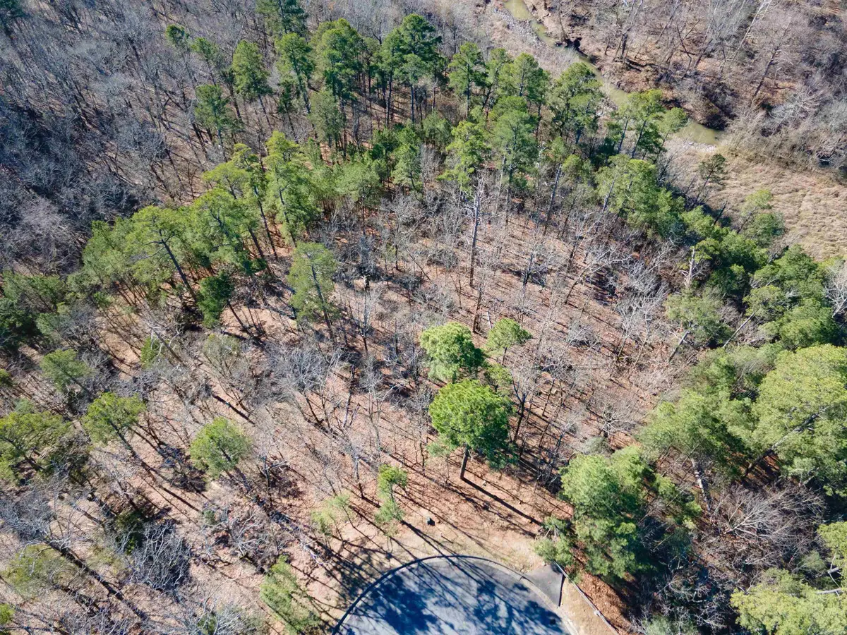 Rivermist Pt, North Little Rock, AR 72118 - #1